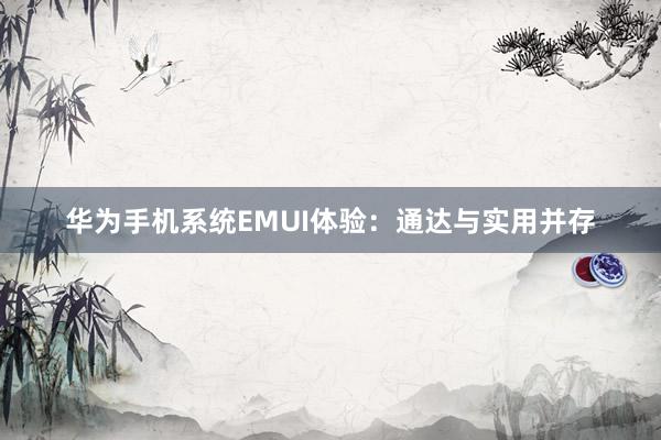 华为手机系统EMUI体验：通达与实用并存